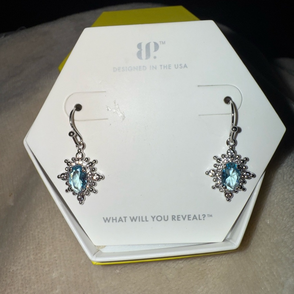 Stunning Silver and Blue Crystal Earrings
